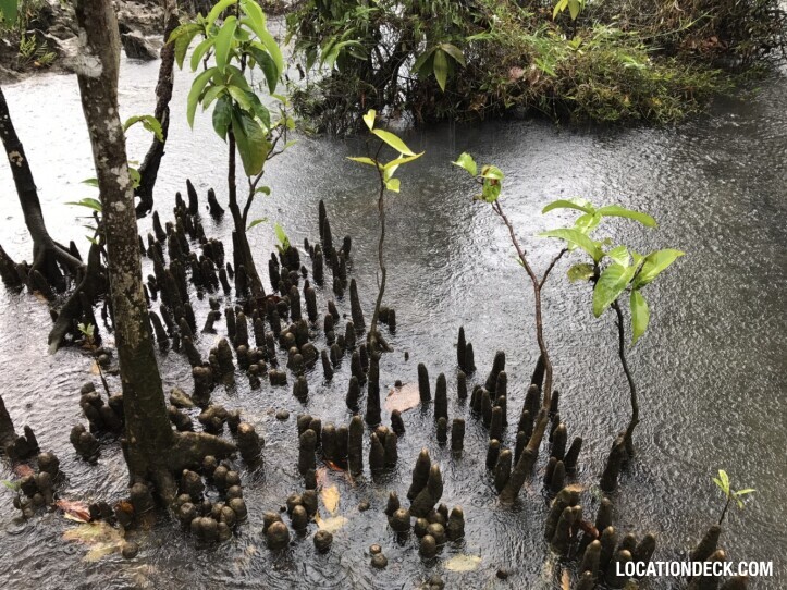 Thapom Klong Song Nam - Krabi, Thailand Filming Location