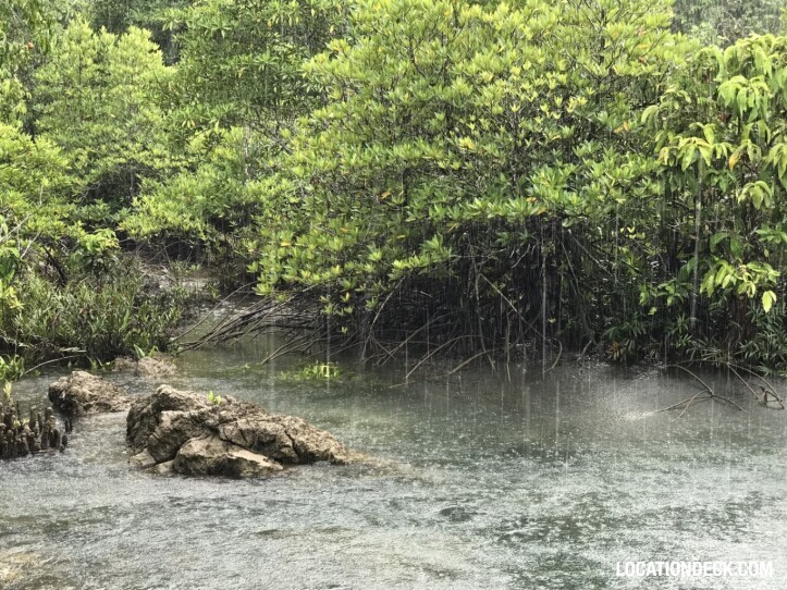 Thapom Klong Song Nam - Krabi, Thailand Filming Location