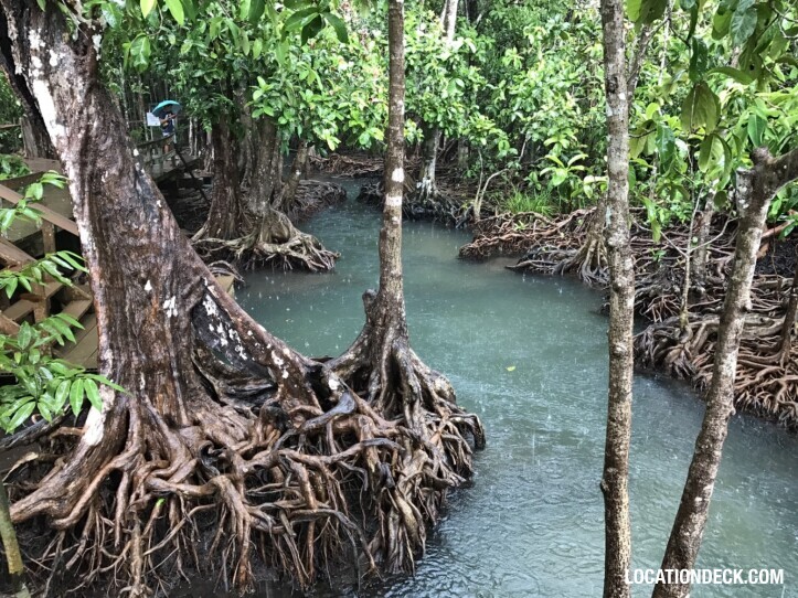 Thapom Klong Song Nam - Krabi, Thailand Filming Location