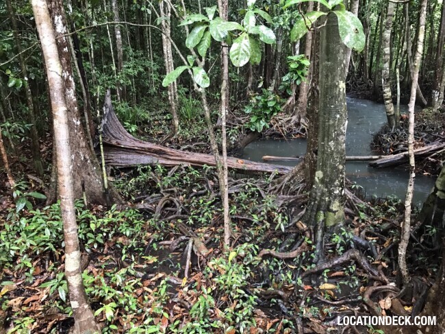 Thapom Klong Song Nam - Krabi, Thailand Filming Location