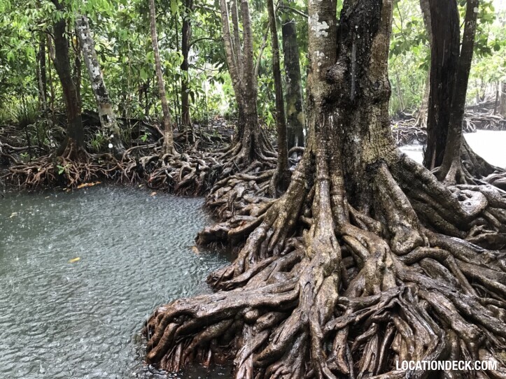 Thapom Klong Song Nam - Krabi, Thailand Filming Location