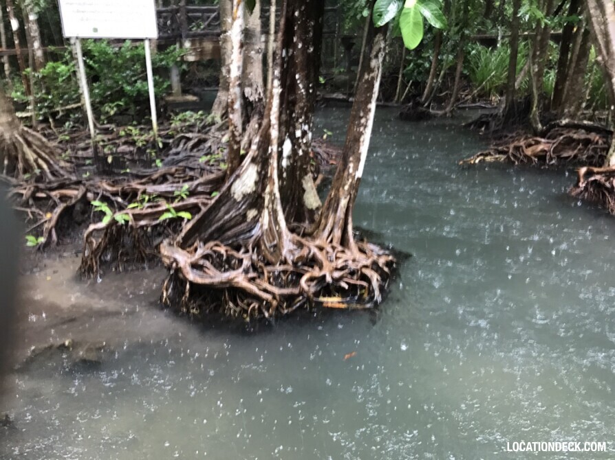 Thapom Klong Song Nam - Krabi, Thailand Filming Location
