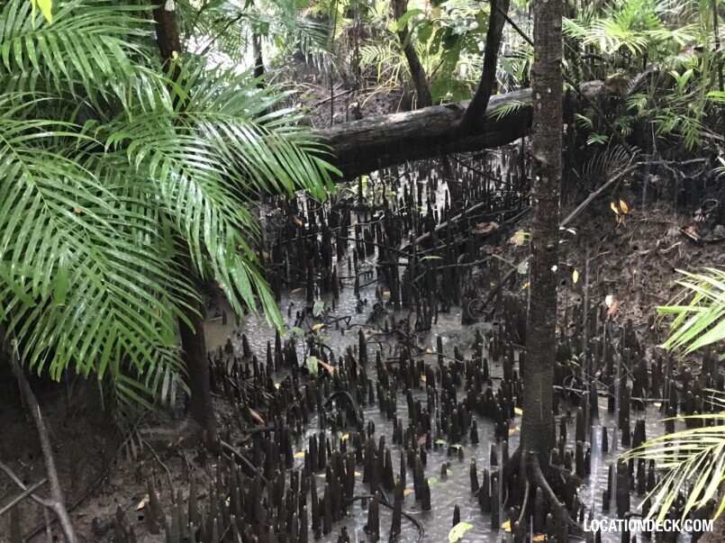 Thapom Klong Song Nam - Krabi, Thailand Filming Location