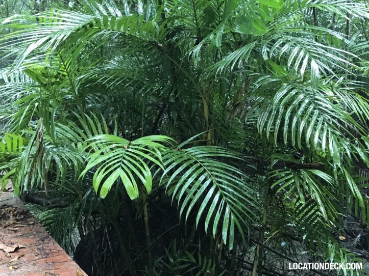 Thapom Klong Song Nam - Krabi, Thailand Filming Location