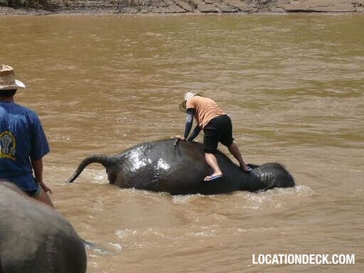 Maetaeng Elephant Park & Clinic - Chiang Mai, Thailand Filming Location
