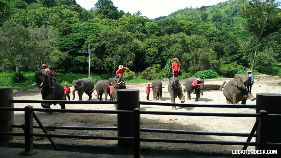 Maetaeng Elephant Park & Clinic - Chiang Mai, Thailand Filming Location