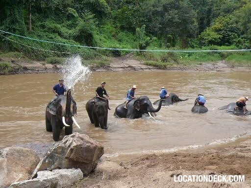 Maetaeng Elephant Park & Clinic - Chiang Mai, Thailand Filming Location