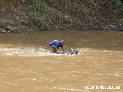 Maetaeng Elephant Park & Clinic - Chiang Mai, Thailand Filming Location
