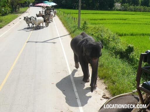 Maetaeng Elephant Park & Clinic - Chiang Mai, Thailand Filming Location