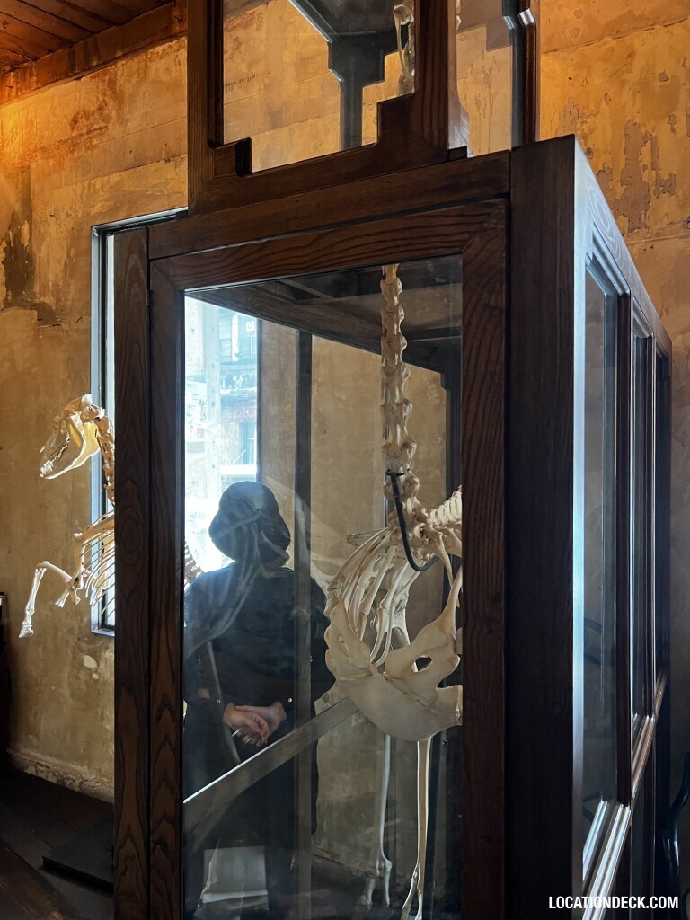 The Mustang Blu - Bangkok, Thailand Filming Location