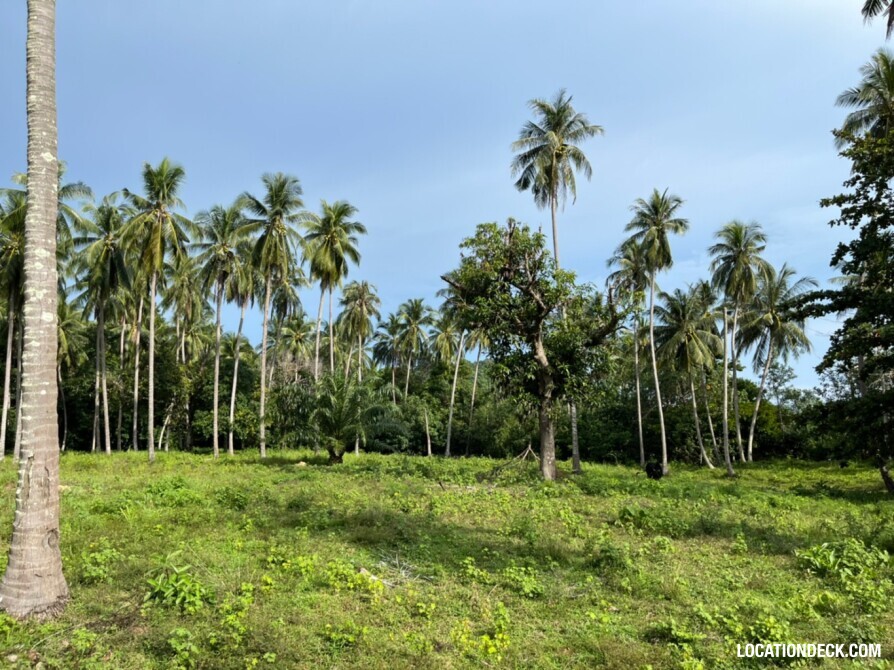 Haad Klong Muang Beach - Krabi, Thailand Filming Location