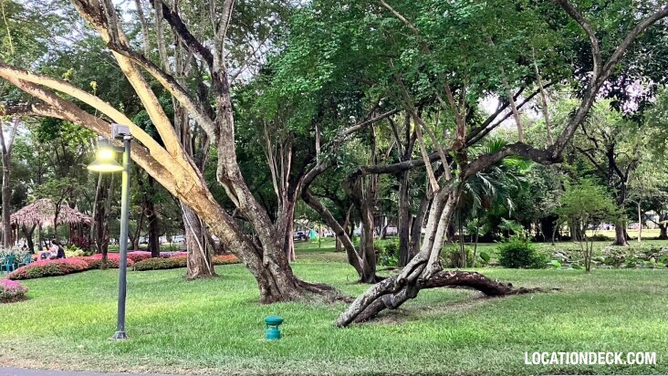 Suan Luang Rama  9 - Bangkok, Thailand Filming Location