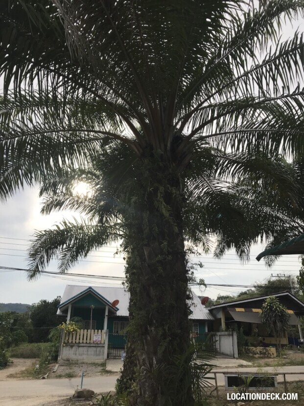 Honour Muay Thai Gym - Krabi, Thailand Filming Location