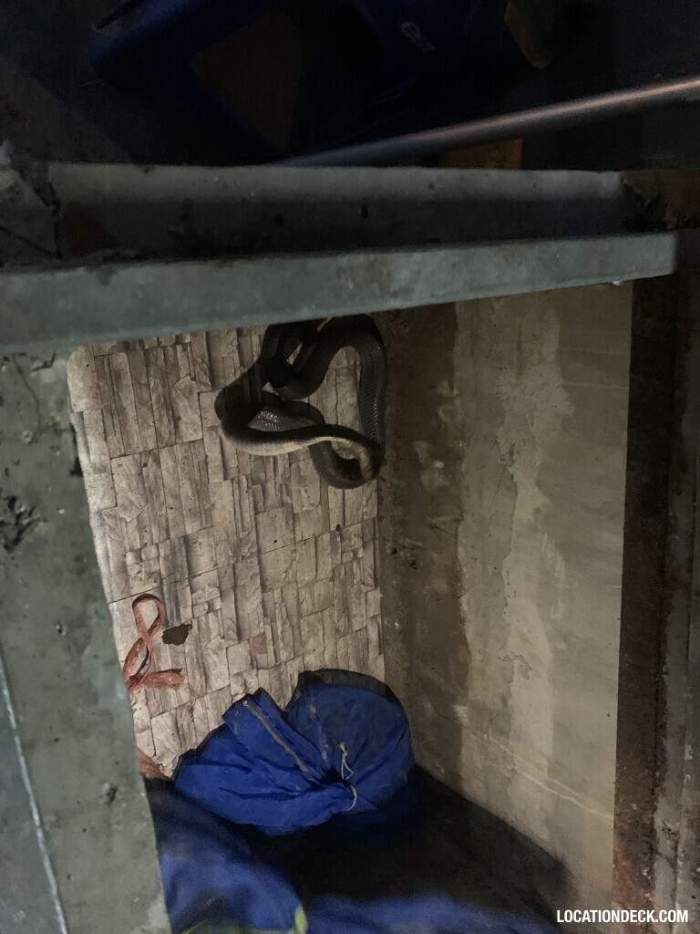 Snake Dish Restaurant - Bangkok, Thailand Filming Location