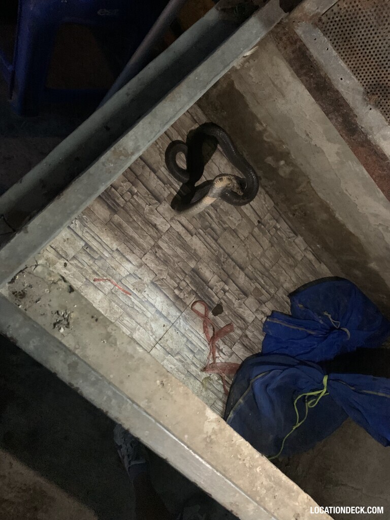 Snake Dish Restaurant - Bangkok, Thailand Filming Location