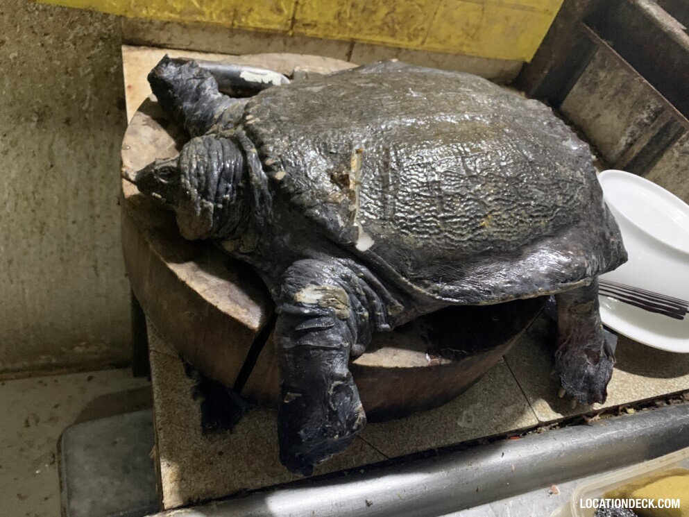 Snake Dish Restaurant - Bangkok, Thailand Filming Location