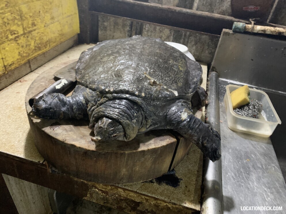 Snake Dish Restaurant - Bangkok, Thailand Filming Location