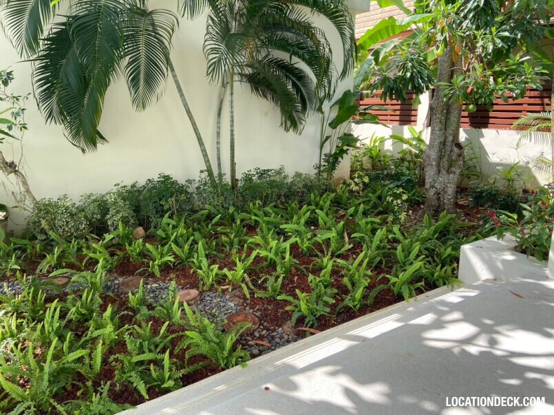 Baan Asan - Surat Thani, Thailand Filming Location