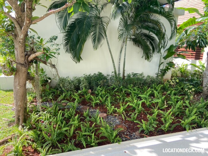 Baan Asan - Surat Thani, Thailand Filming Location