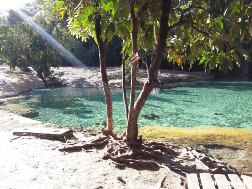 Emerald Pool - Krabi, Thailand Filming Location