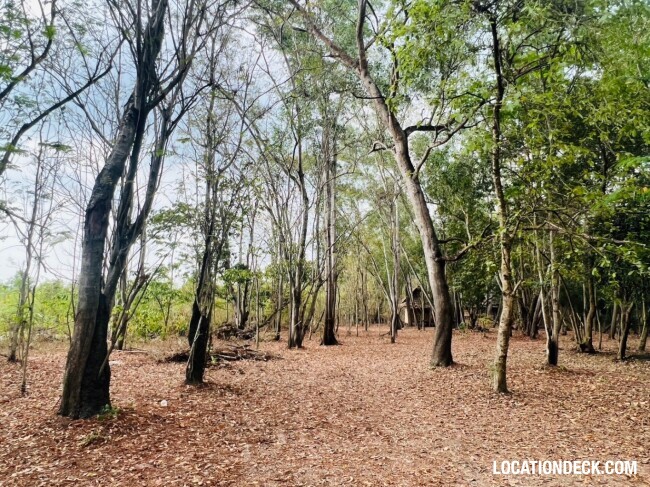 Nopawong Park Forest Studio - Pathum Thani, Thailand Filming Location