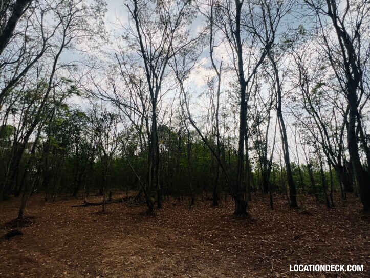 Nopawong Park Forest Studio - Pathum Thani, Thailand Filming Location