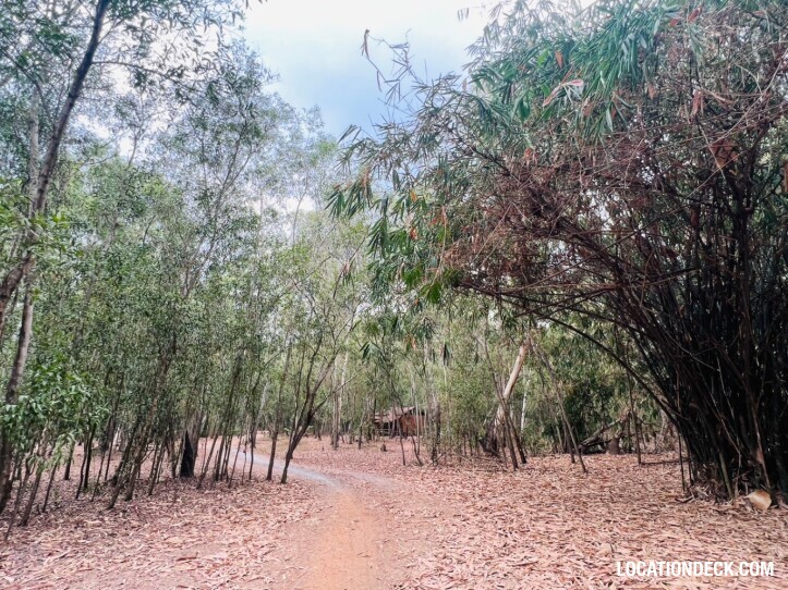 Nopawong Park Forest Studio - Pathum Thani, Thailand Filming Location