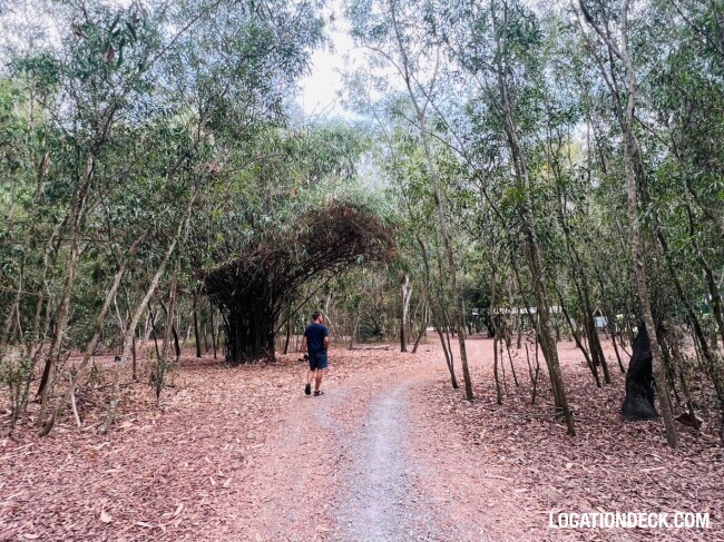 Nopawong Park Forest Studio - Pathum Thani, Thailand Filming Location