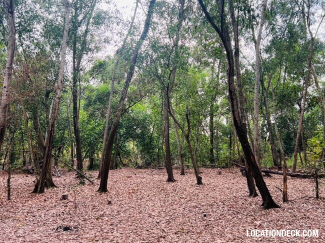 Nopawong Park Forest Studio - Pathum Thani, Thailand Filming Location