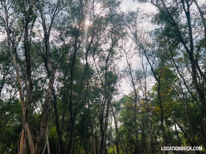 Nopawong Park Forest Studio - Pathum Thani, Thailand Filming Location