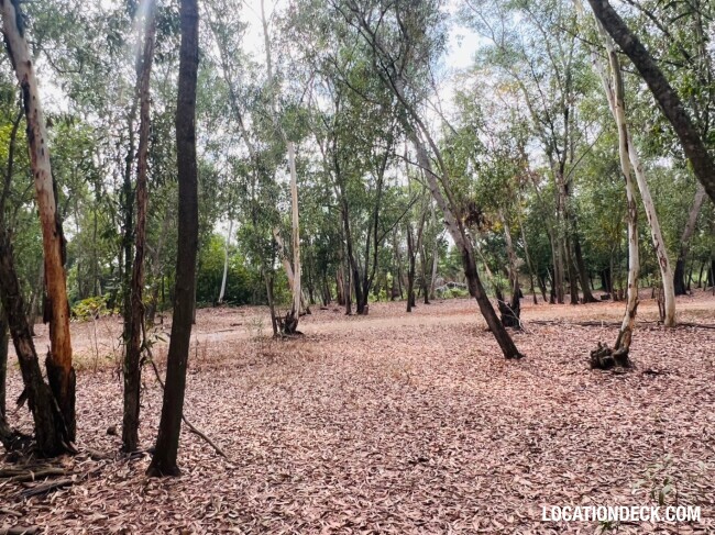 Nopawong Park Forest Studio - Pathum Thani, Thailand Filming Location