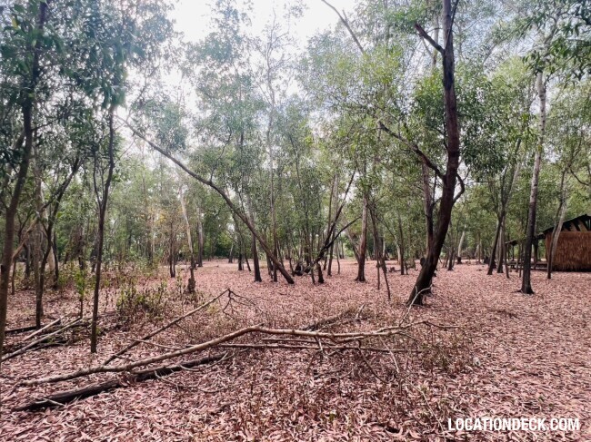 Nopawong Park Forest Studio - Pathum Thani, Thailand Filming Location