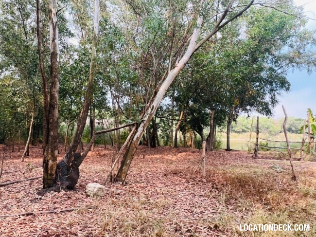 Nopawong Park Forest Studio - Pathum Thani, Thailand Filming Location