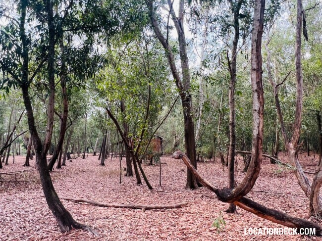 Nopawong Park Forest Studio - Pathum Thani, Thailand Filming Location