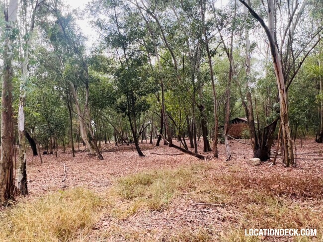 Nopawong Park Forest Studio - Pathum Thani, Thailand Filming Location