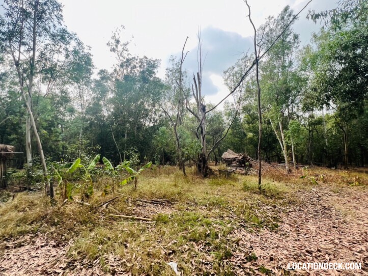 Nopawong Park Forest Studio - Pathum Thani, Thailand Filming Location