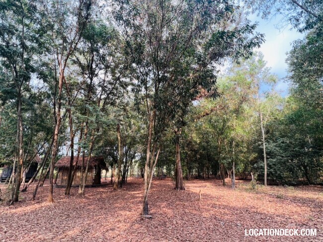Nopawong Park Forest Studio - Pathum Thani, Thailand Filming Location