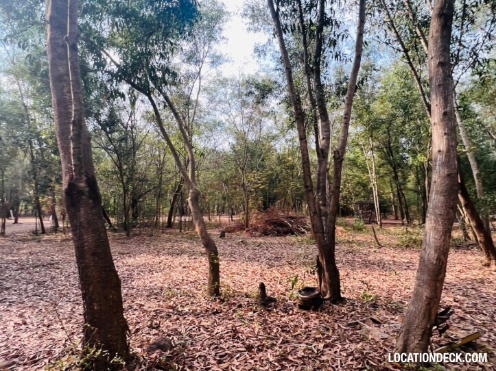 Nopawong Park Forest Studio - Pathum Thani, Thailand Filming Location