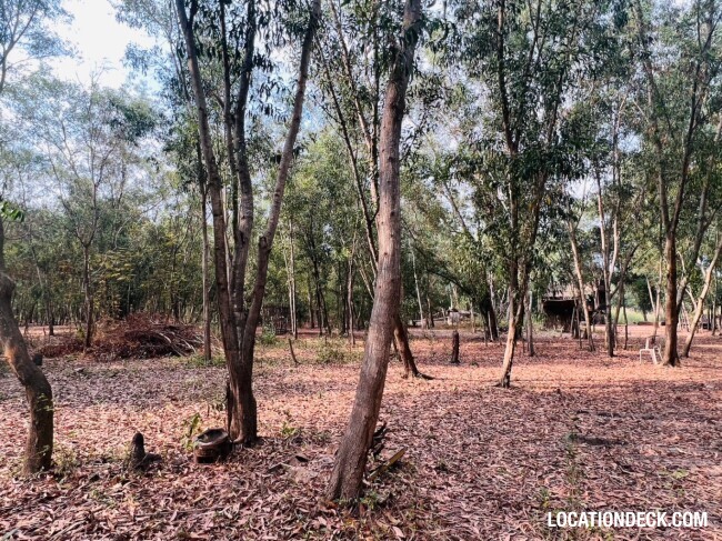 Nopawong Park Forest Studio - Pathum Thani, Thailand Filming Location
