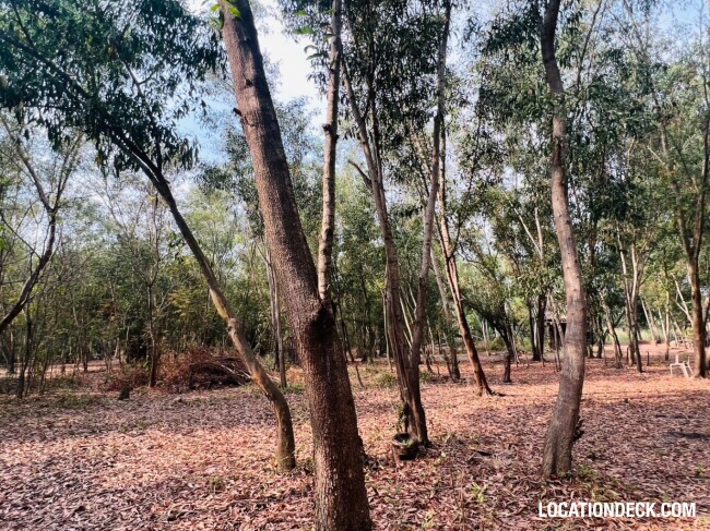 Nopawong Park Forest Studio - Pathum Thani, Thailand Filming Location