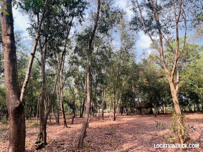 Nopawong Park Forest Studio - Pathum Thani, Thailand Filming Location