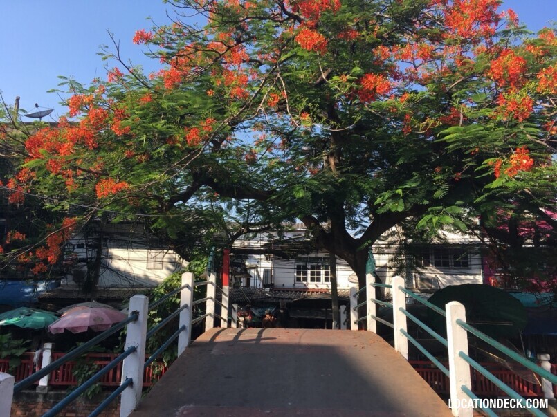 Alleyway in Phra Sumen Road - Bangkok, Thailand Filming Location