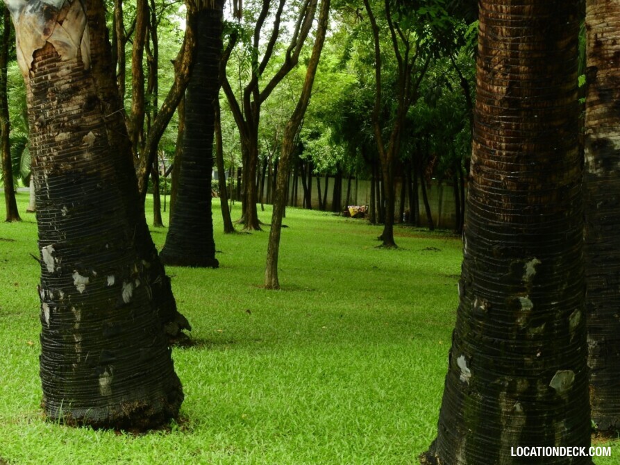 Serithai Park - Bangkok, Thailand Filming Location