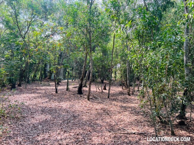Country Garden Forest - Pathum Thani, Thailand Filming Location