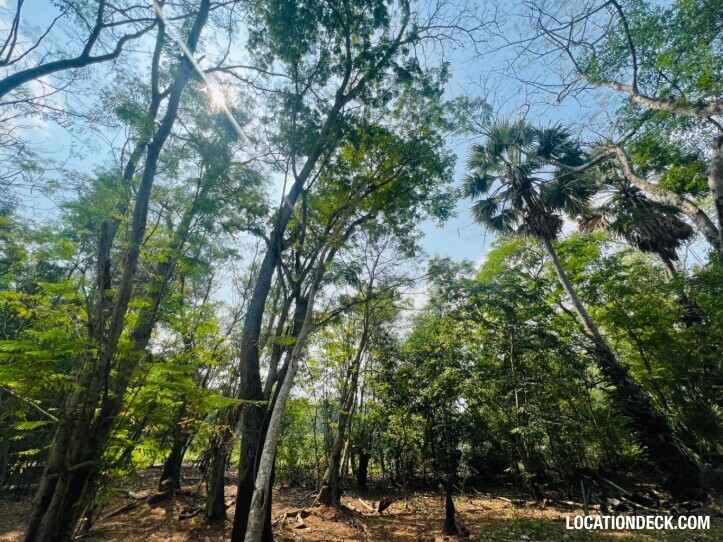 Country Garden Forest - Pathum Thani, Thailand Filming Location