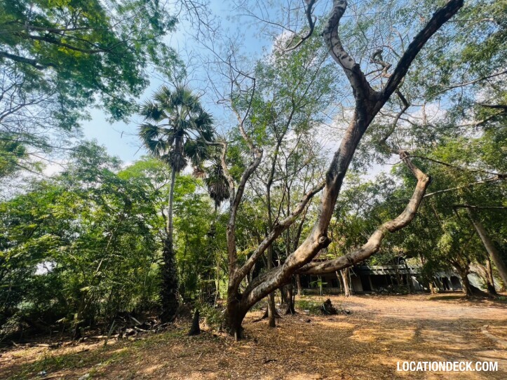 Country Garden Forest - Pathum Thani, Thailand Filming Location