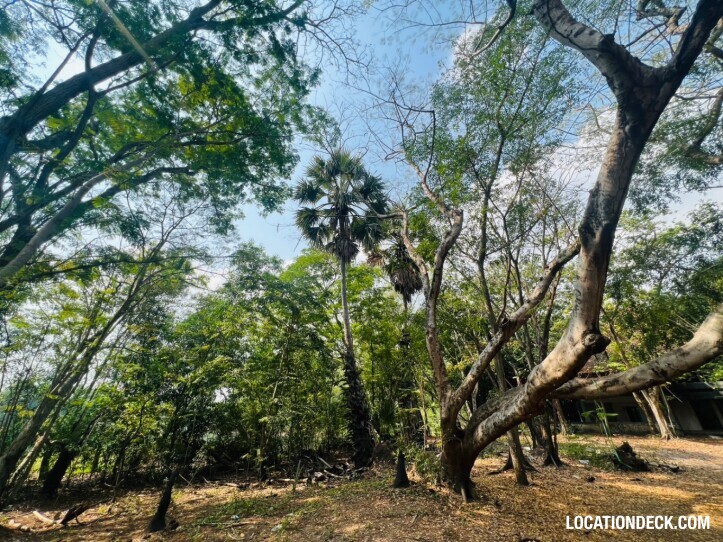 Country Garden Forest - Pathum Thani, Thailand Filming Location