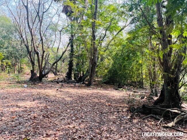 Country Garden Forest - Pathum Thani, Thailand Filming Location
