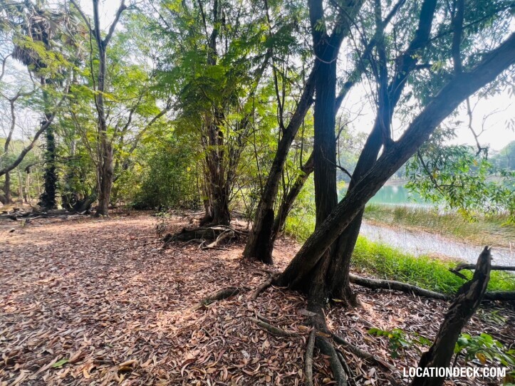 Country Garden Forest - Pathum Thani, Thailand Filming Location