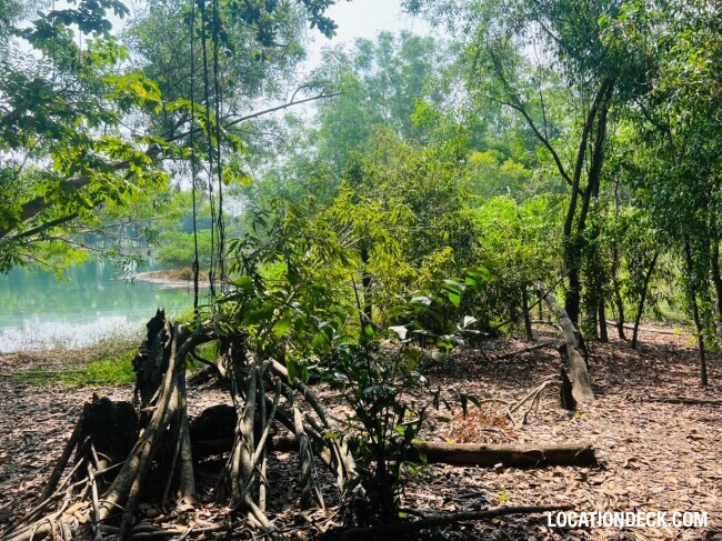 Country Garden Forest - Pathum Thani, Thailand Filming Location